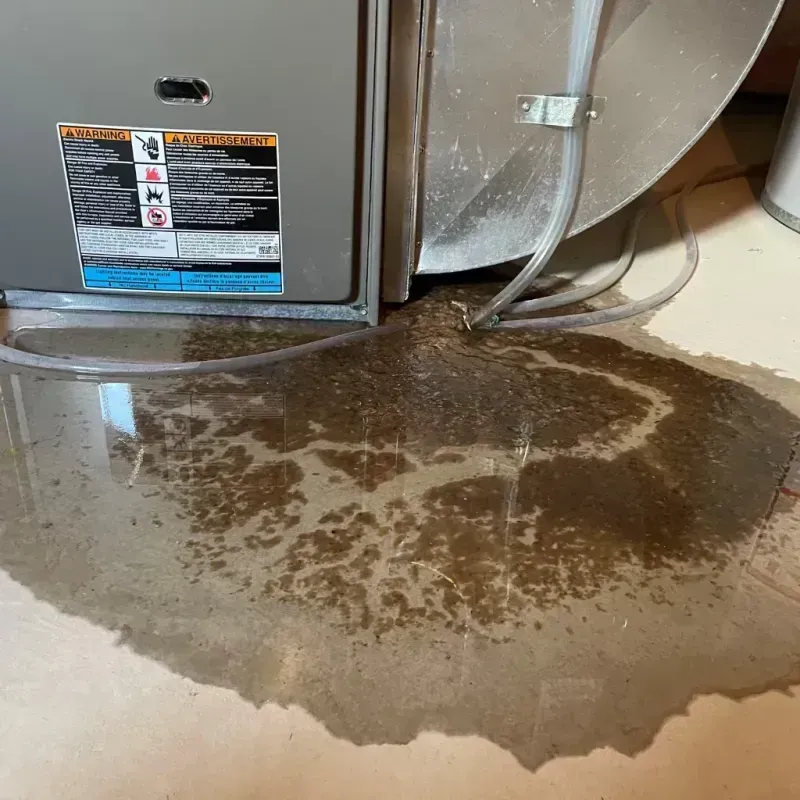 Appliance Leak Cleanup in Spencer County, IN